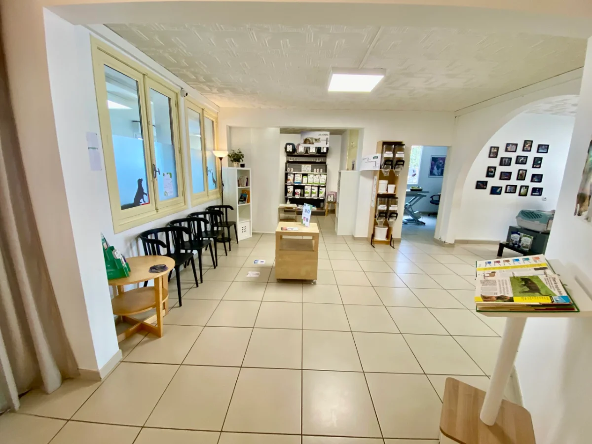 Salle d'attente_Viveto_Carbonne